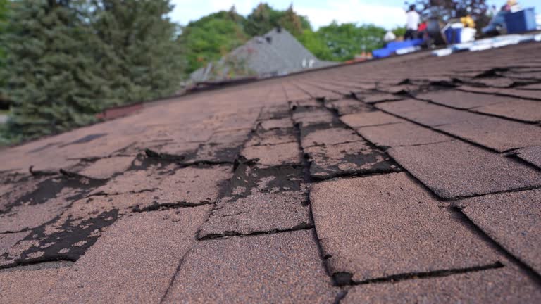 Best Hot Roofs  in Manheim, PA