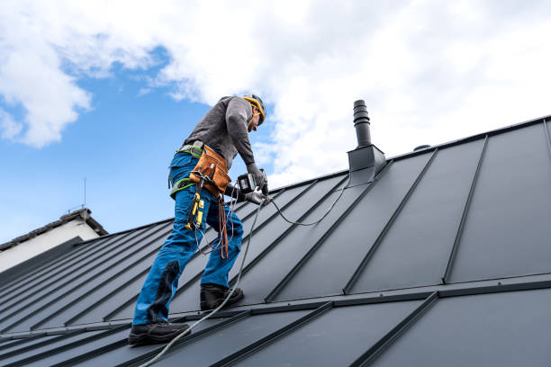 Best Skylight Installation and Repair  in Manheim, PA