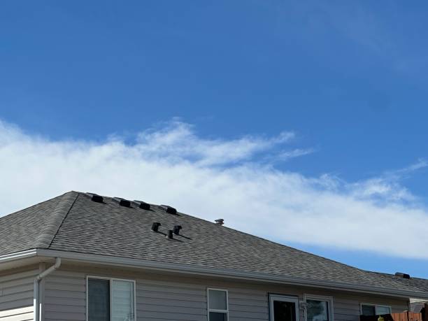 Best 4 Ply Roofing  in Manheim, PA