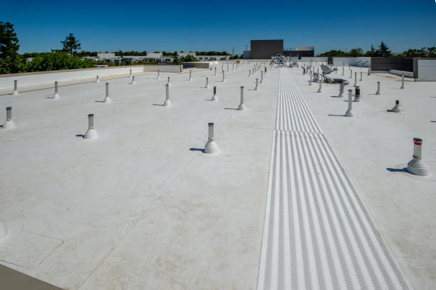 Best Roof Ventilation Installation  in Manheim, PA